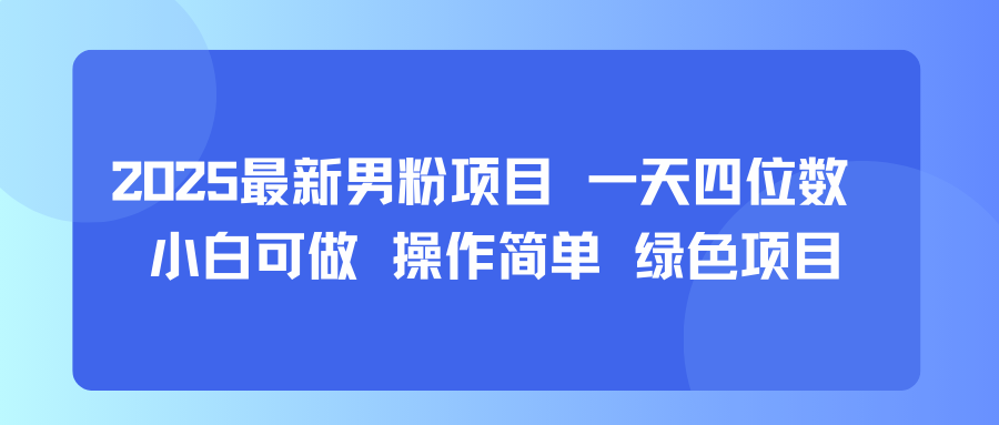 2025最新男粉项目 一天四位数 小白可做 操作简单 绿色项目-洛柒笔记