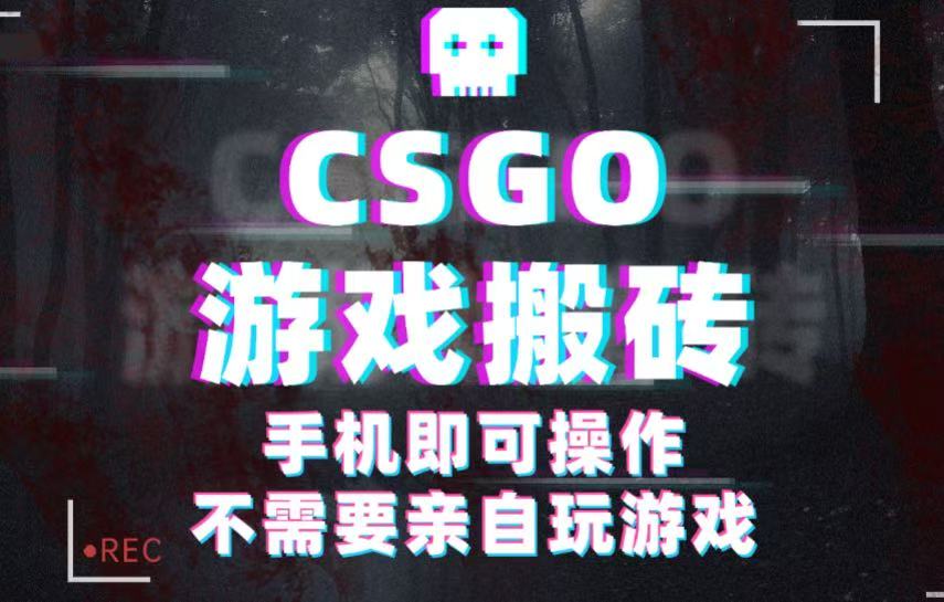 CSGO游戏挂机捡漏，单日扫货500+，年底小高峰上车可吃肉，手机即可操作兼职副业-洛柒笔记