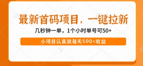 最新首码项目，操作最简单，收益高，一键拉新，1个小时单号可50+，小项目认真做每天5张+收益【揭秘】-洛柒笔记