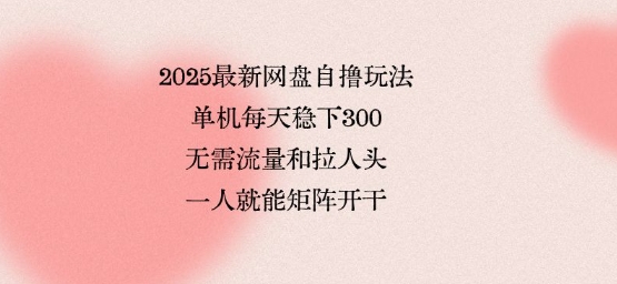 2025最新网盘自撸玩法，单机每天稳下3张，无需流量和拉人头，一个人就可轻松矩阵，全网独一份【揭秘】-洛柒笔记