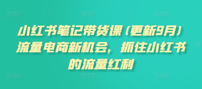 小红书笔记带货课(更新25年6月)流量电商新机会，抓住小红书的流量红利-洛柒笔记