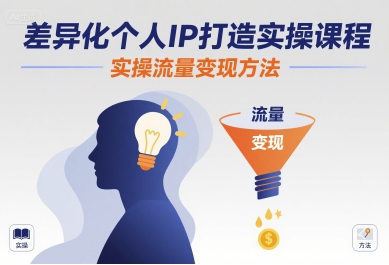 差异化个人IP打造实操课程，实操流量变现方法-洛柒笔记