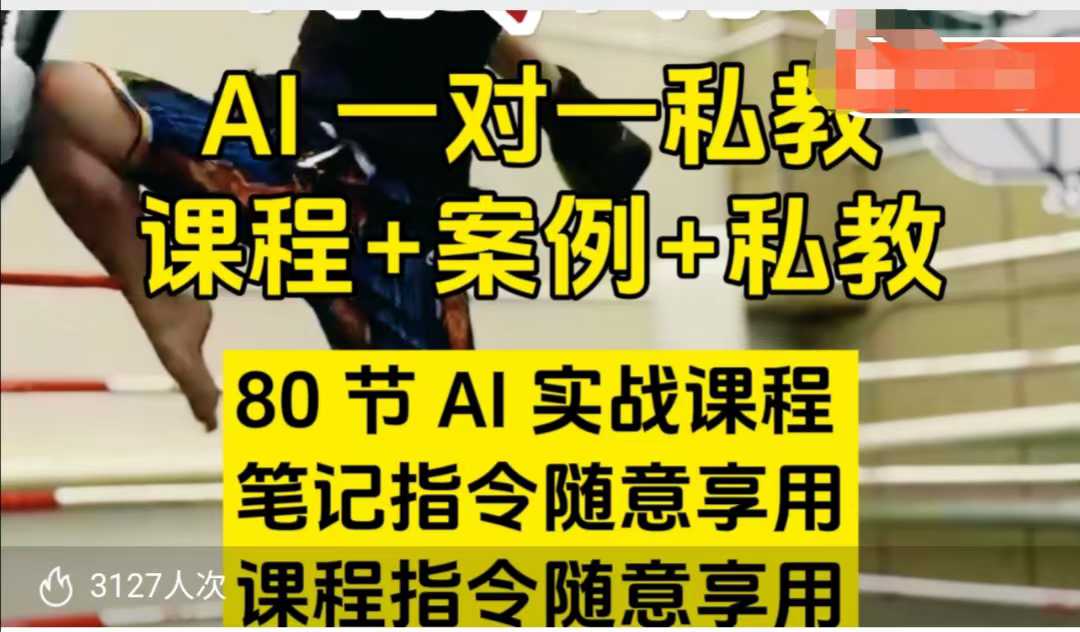 AI指令实战课，课程+案例，80节AI实战课程，笔记指令随意享用，课程指令随意享用（更新7月）-洛柒笔记