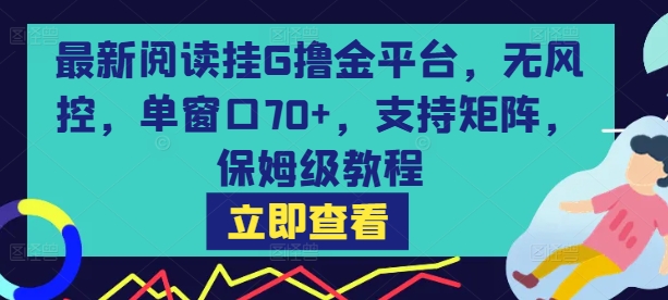 最新阅读挂G撸金平台，无风控，单窗口70+，支持矩阵，保姆级教程【揭秘】-洛柒笔记