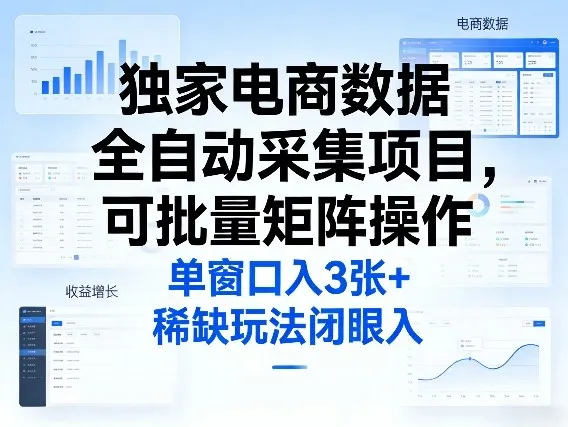 独家电商数据全自动采集项目，可批量矩阵操作，单窗口日入3张+，稀缺玩法闭眼入-洛柒笔记