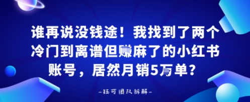 谁再说没钱途！我找到了两个冷门到离谱但賺麻了的小红书账号，居然月销5W单？-洛柒笔记