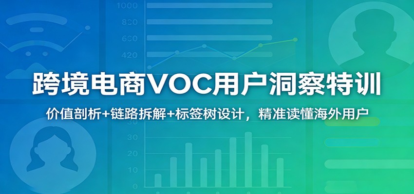 跨境电商VOC用户洞察特训：价值剖析+链路拆解+标签树设计，精准读懂海外用户-洛柒笔记