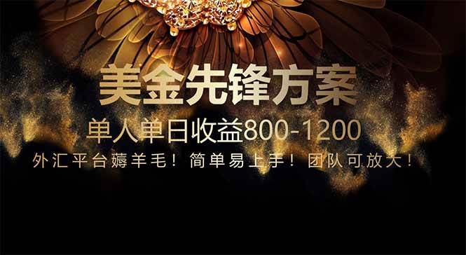 （14761期）免费技术！小众赛道！一年布局抵三年努力，每日800+-洛柒笔记