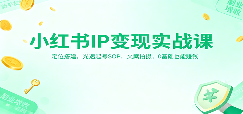 小红书IP变现实战课：定位搭建，光速起号SOP，文案拍摄，0基础也能赚钱-洛柒笔记