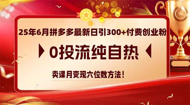 25年6月拼多多最新日引300+付费创业粉，0投流纯自热 卖课月变现六位数方法-洛柒笔记