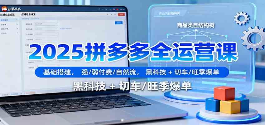 2025拼多多全运营课：基础搭建，强/弱付费/自然流，黑科技 + 切车/旺季爆单-洛柒笔记